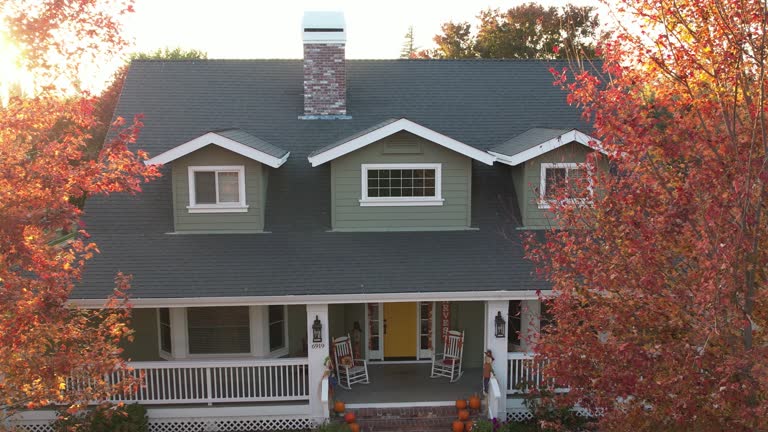 Best Green or Eco-Friendly Roofing Solutions  in Mountain View, HI