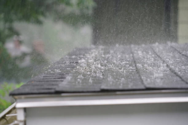 Trusted Mountain View, HI Roofing Experts