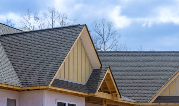 Best Metal Roofing Installation  in Mountain View, HI